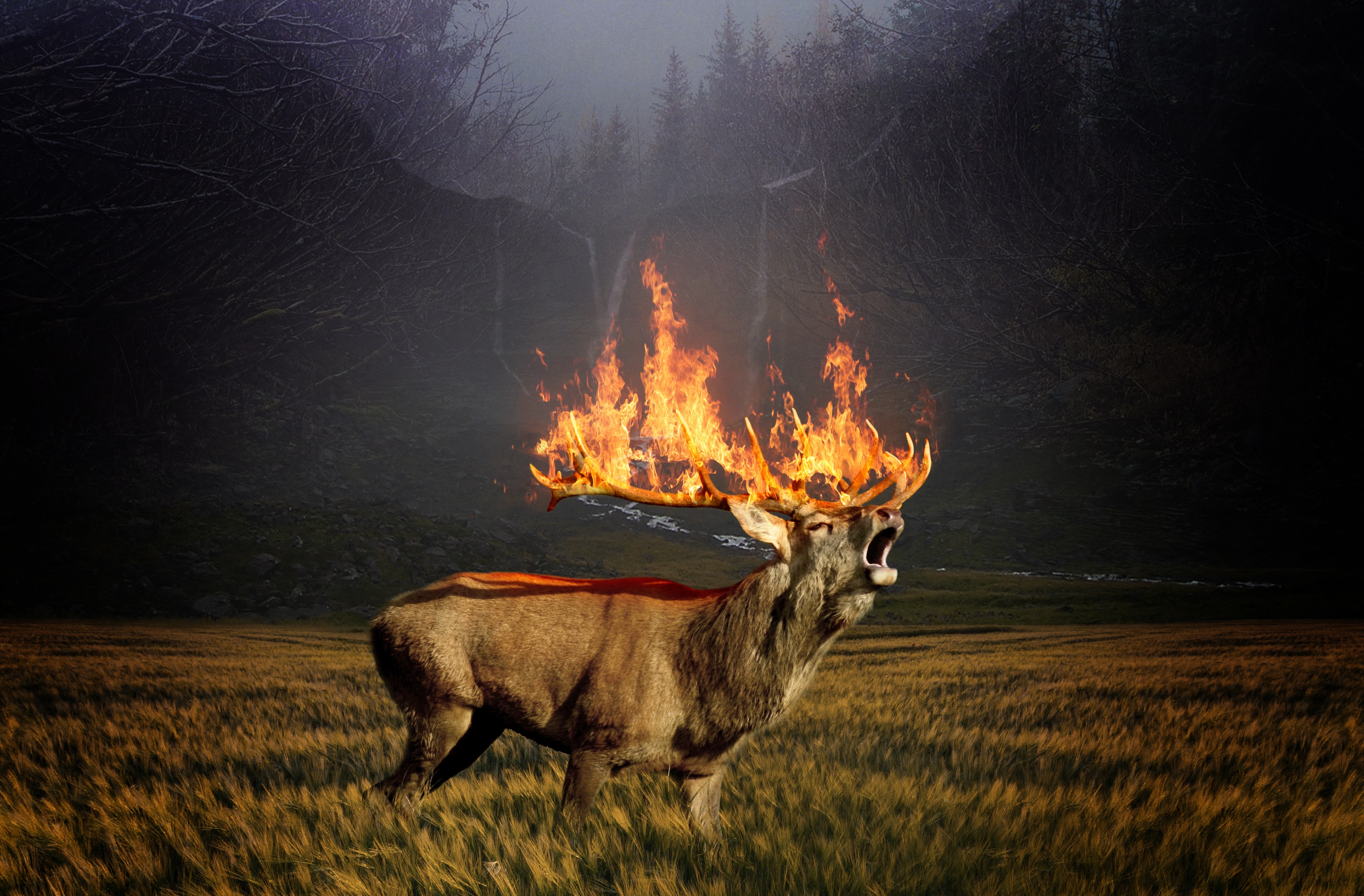 Free photo A deer with burning antlers