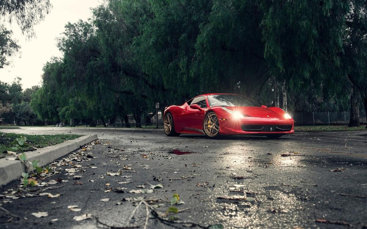 Ferrari SPA дождливом парке