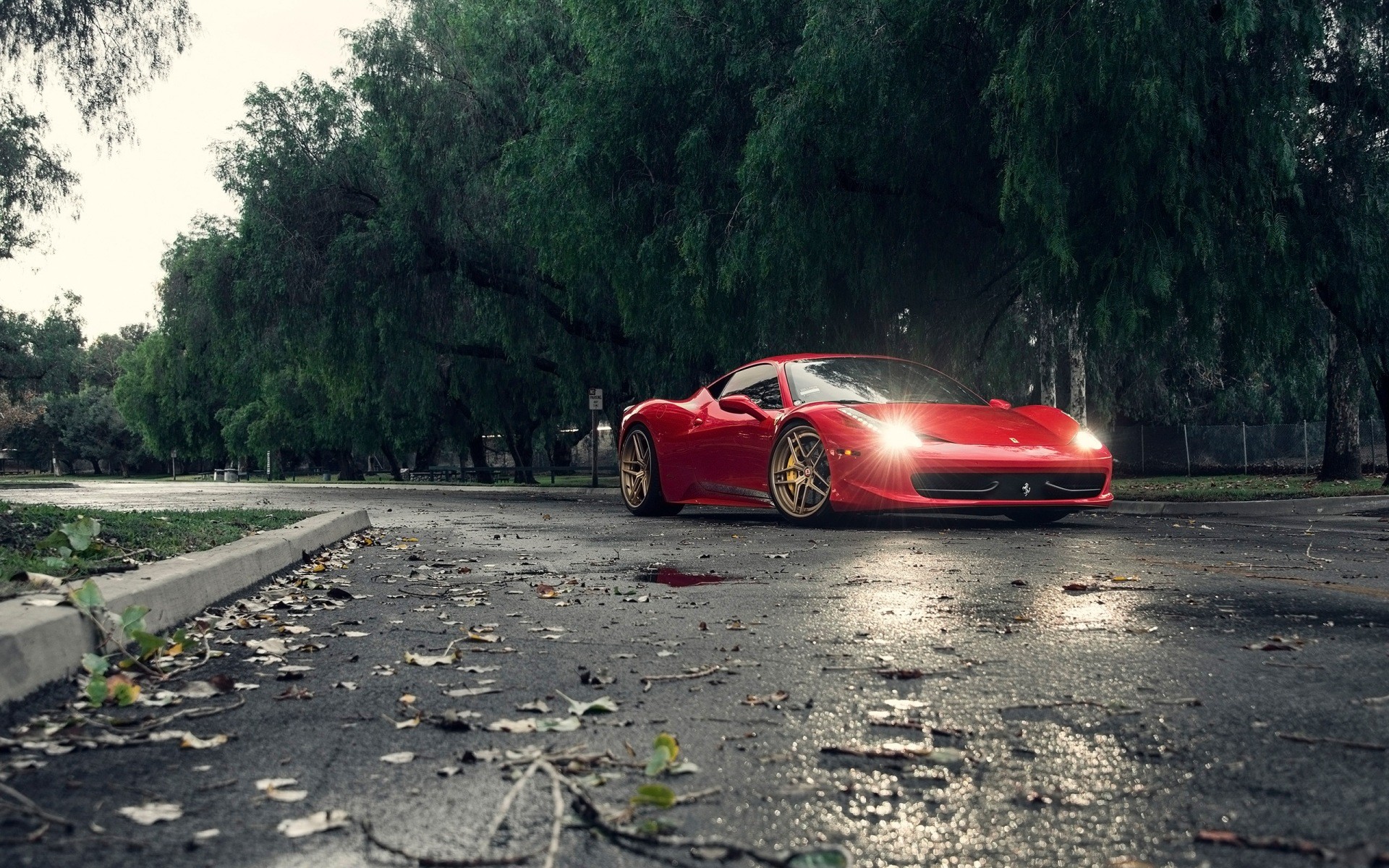 Бесплатное фото Ferrari SPA дождливом парке