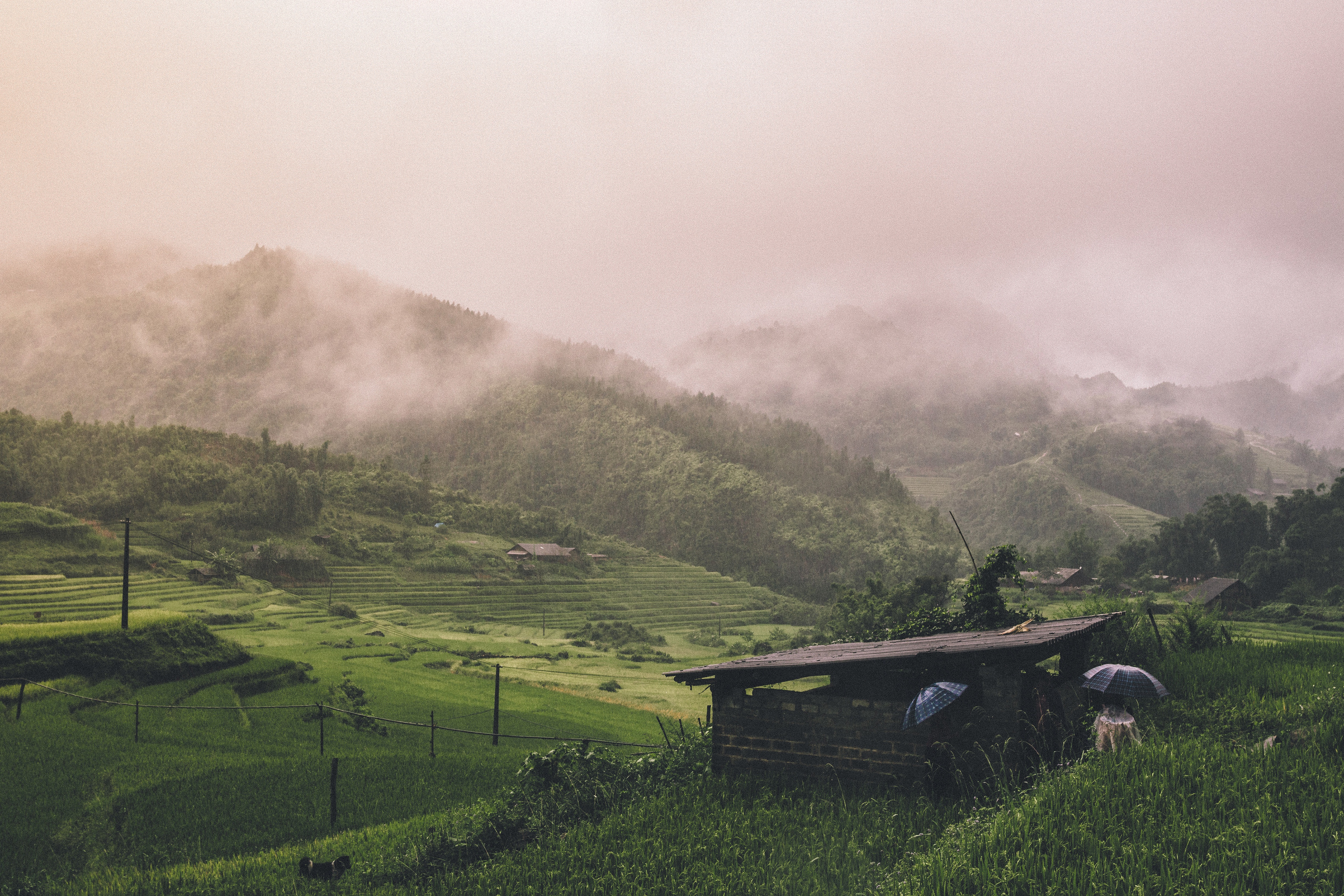 Бесплатное фото Дождливая погода с туманом в долине с холмами