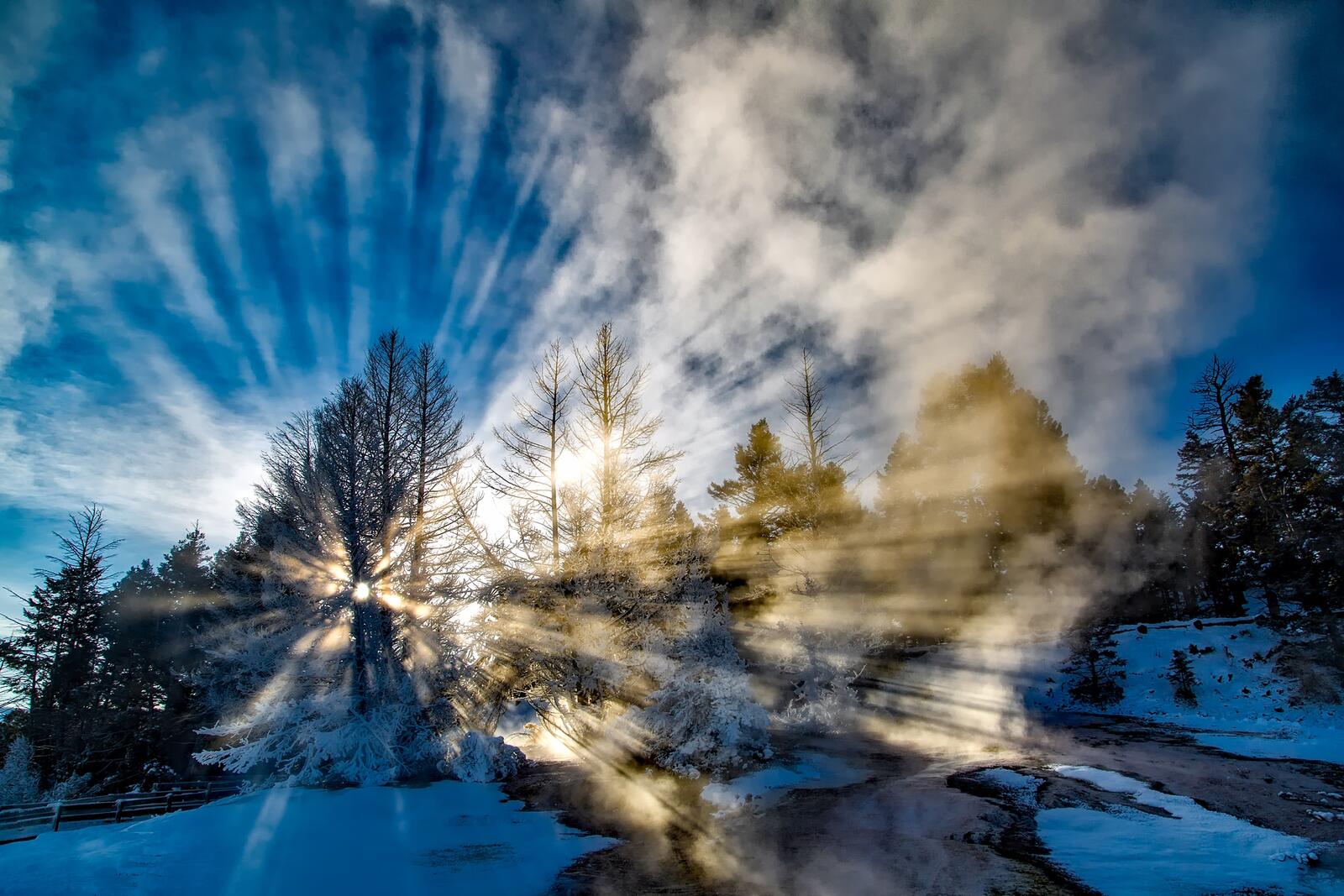 Бесплатное фото Солнечные лучи в тумане на природе