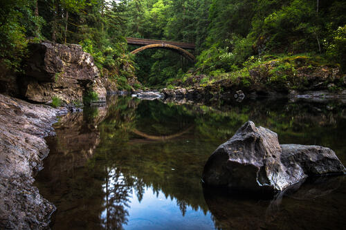 Старый арочный мост в лесу через мелководную реку