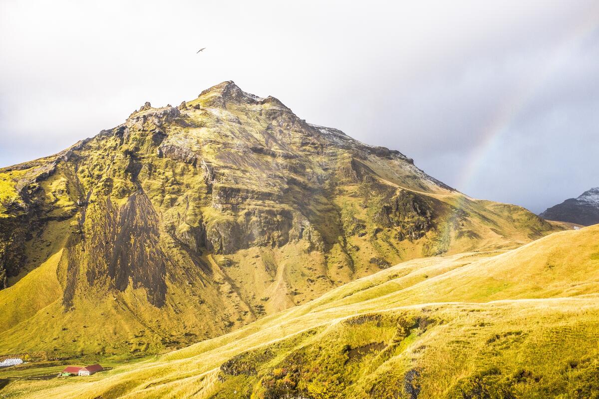 A rainbow near a mountain with a bird soaring above it