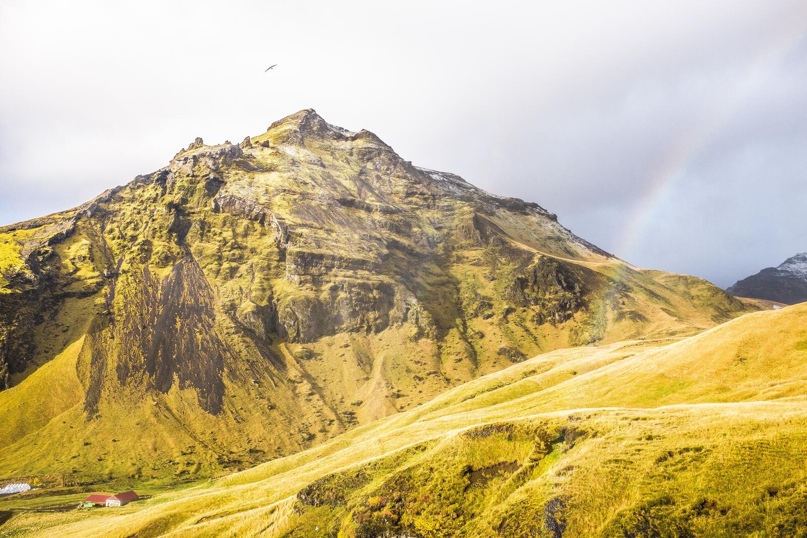 Бесплатное фото Радуга возле горы с парящей над ней птицей