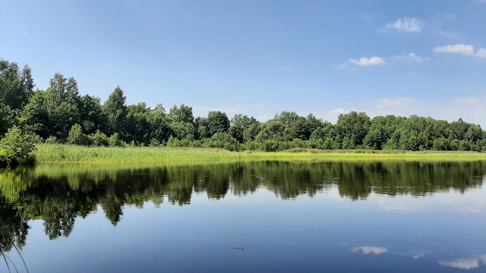 Бесплатное фото Штиль на реке летом
