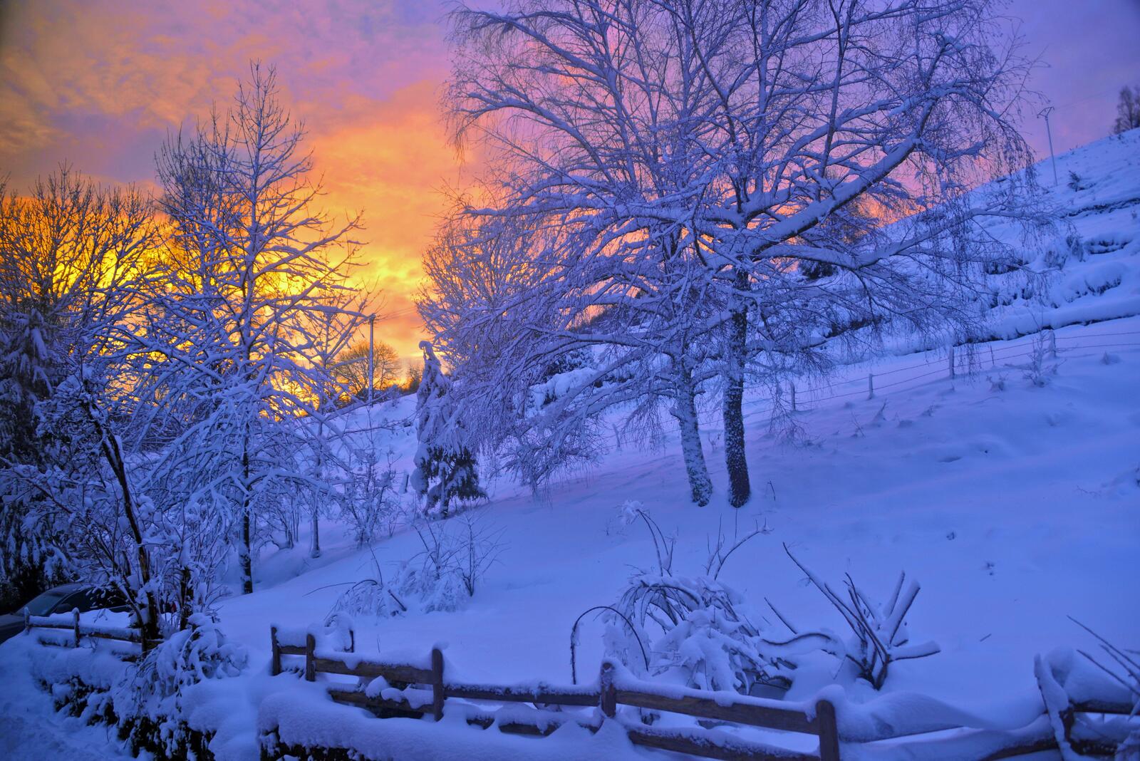 免费照片夕阳下被雪花包裹的栅栏