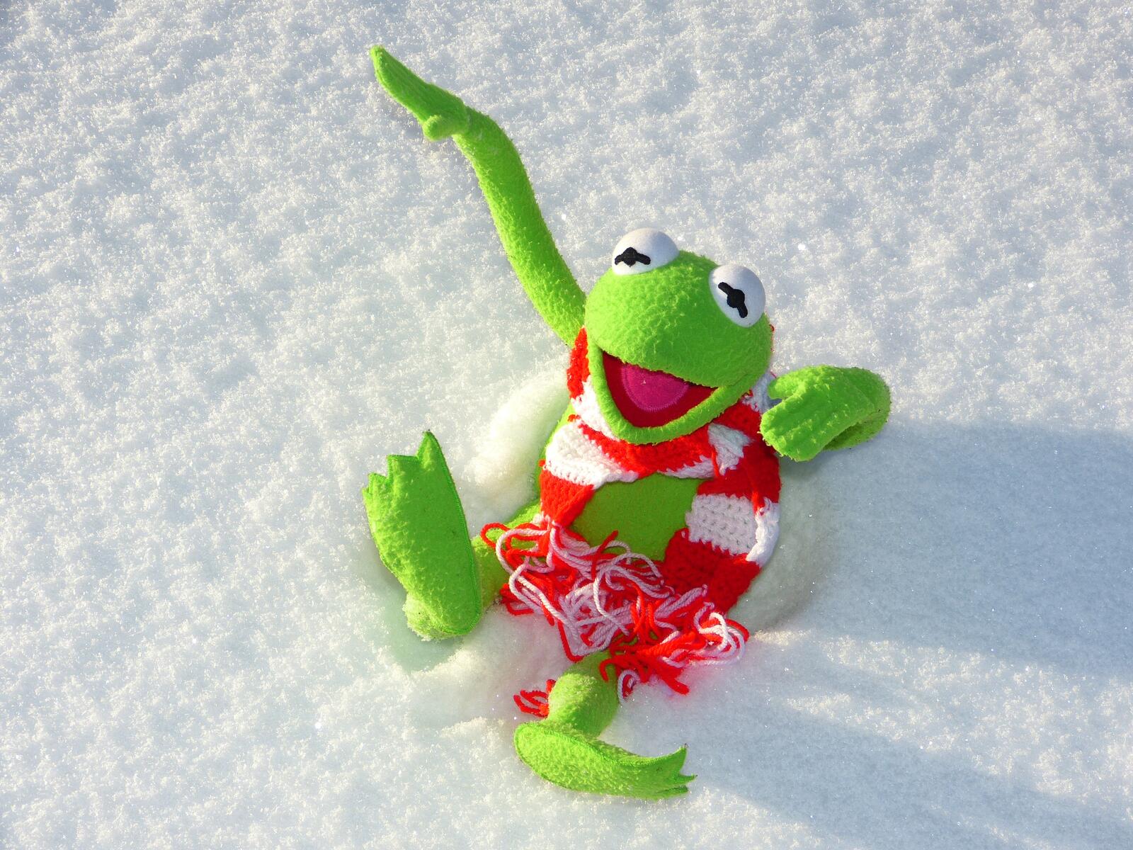 Бесплатное фото Мягкая игрушка лежит на снегу