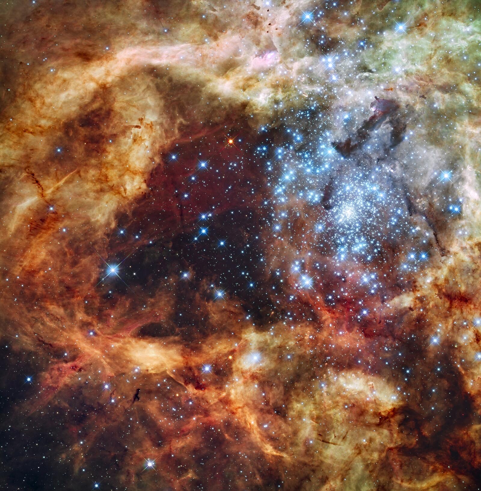 Free photo The Doradus Space Nebula