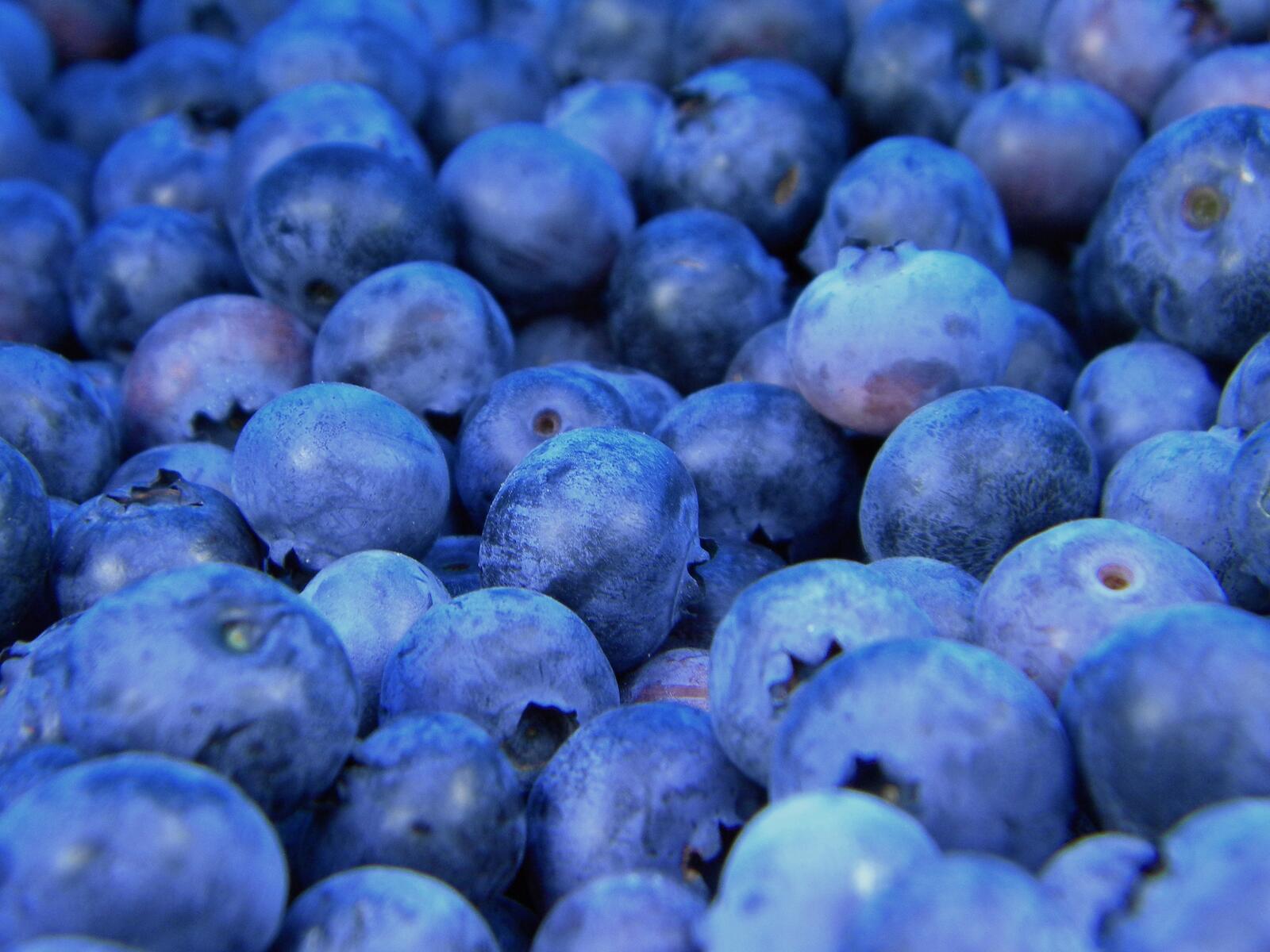 Wallpapers wallpaper blueberries fruits ripe on the desktop