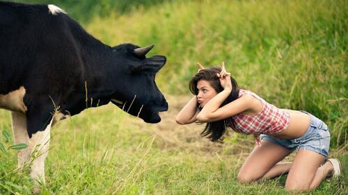 Девушка кривляет корову