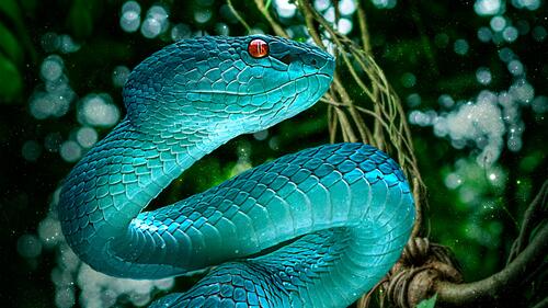 Яркая голубая змея с красными глазами