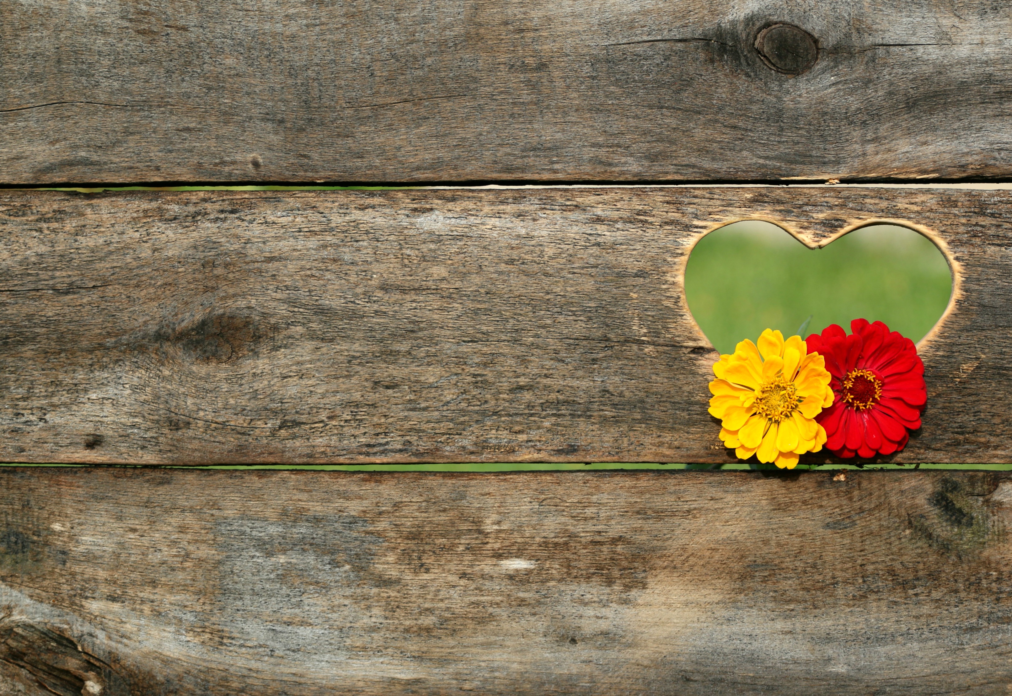 Wooden fence with carved heart with flowers