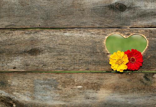 Деревянный забор с вырезанным сердечком с цветами