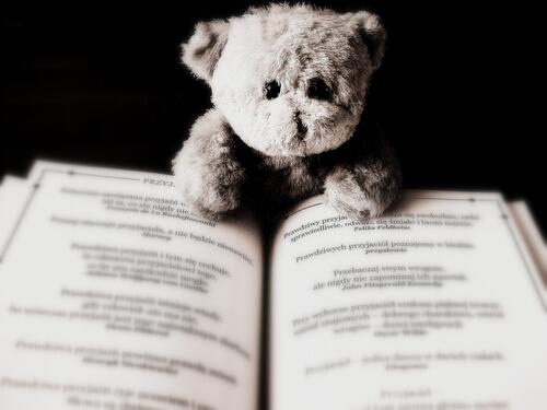 A teddy bear reading a book