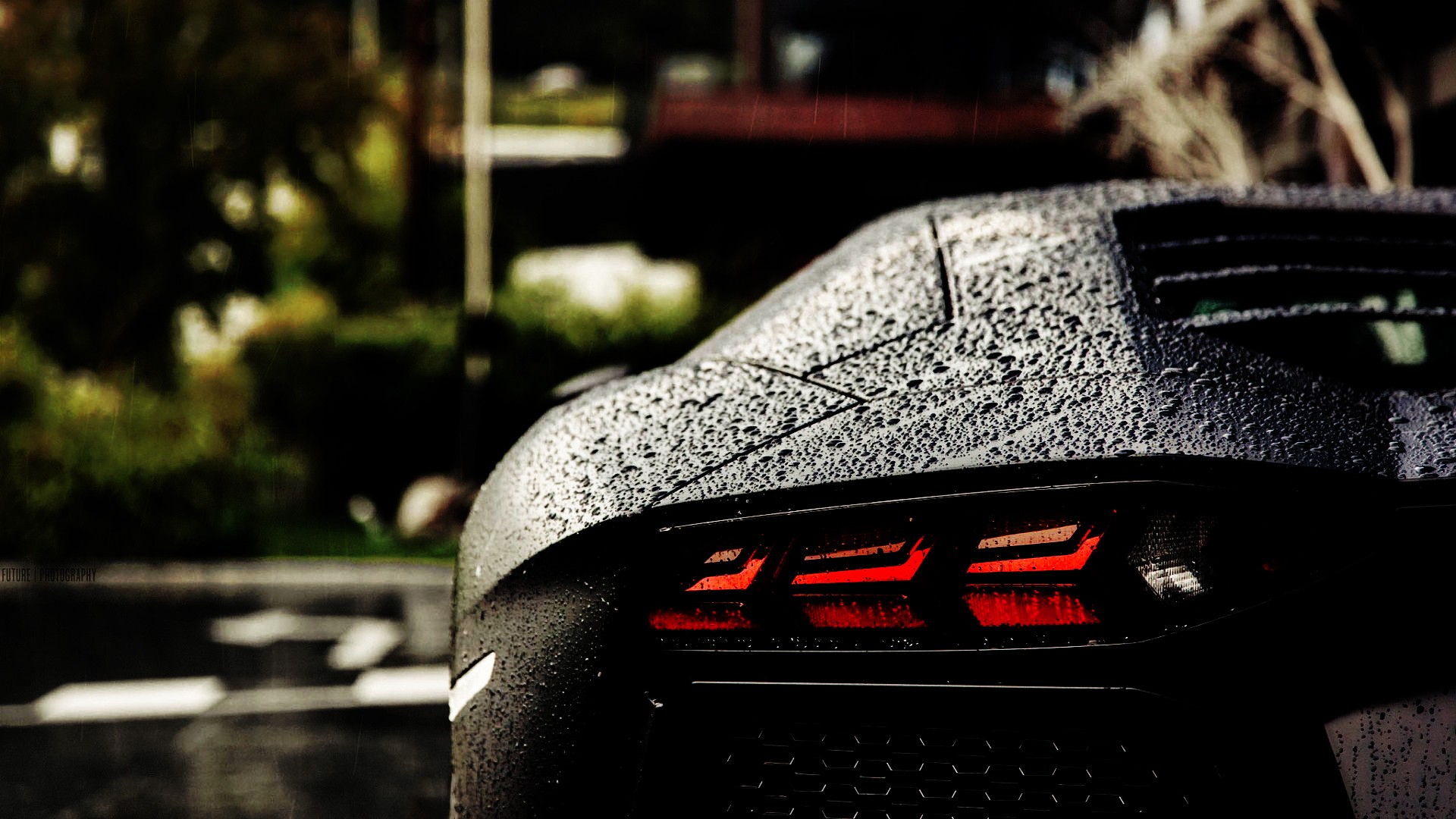 Black Lamborghini in the rain.