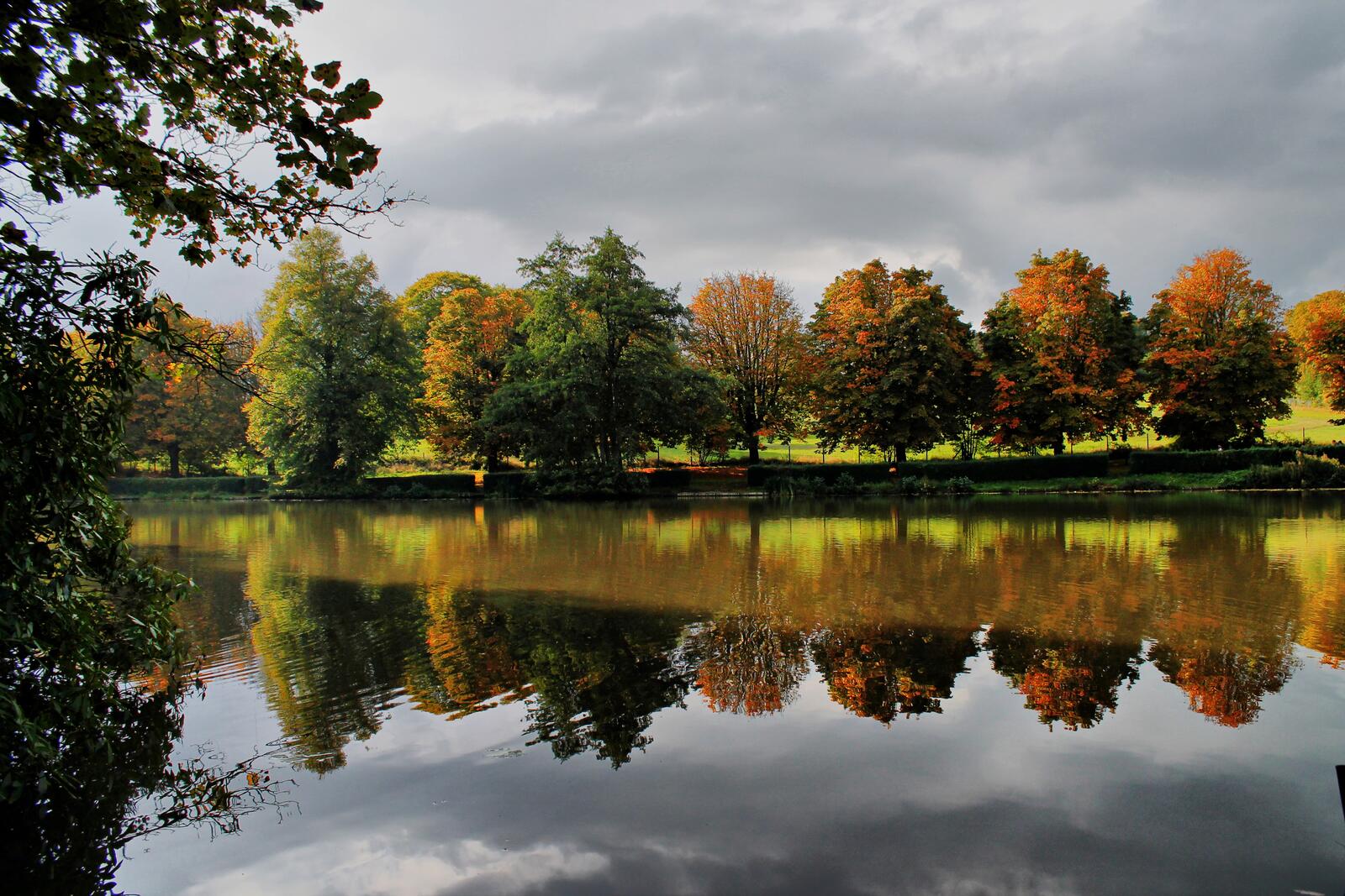 Бесплатное фото Лиственные осенние деревья на берегу реки в парке