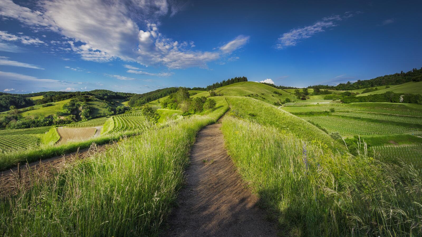 Бесплатное фото Тропа по вершине горы с зеленой травой