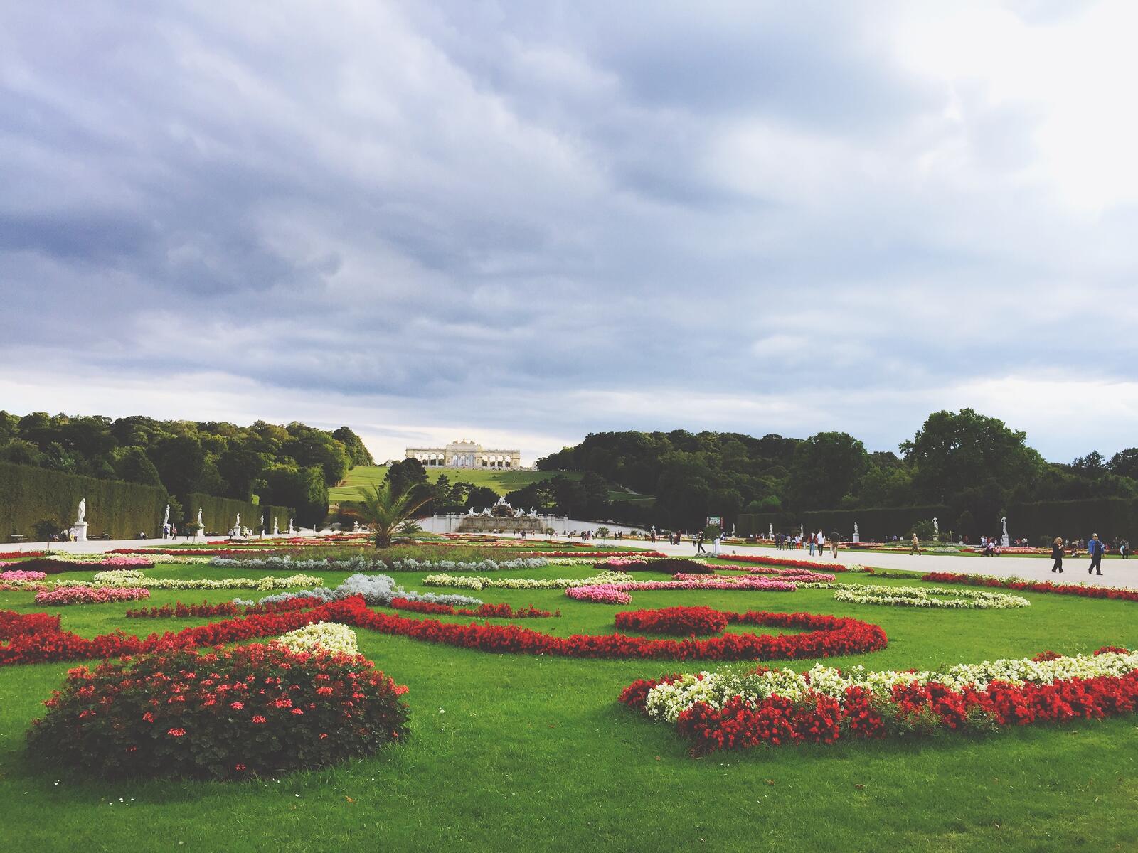 Бесплатное фото Клумбы с цветами на зеленом газоне
