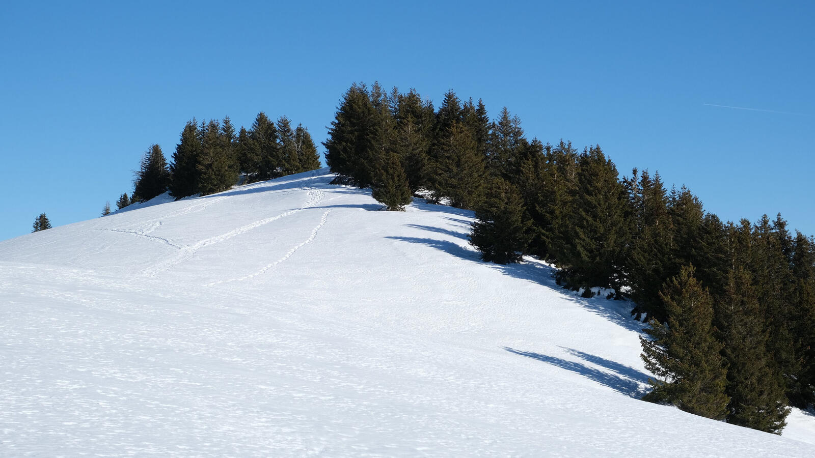 Бесплатное фото Снежный холм с деревьями на нем