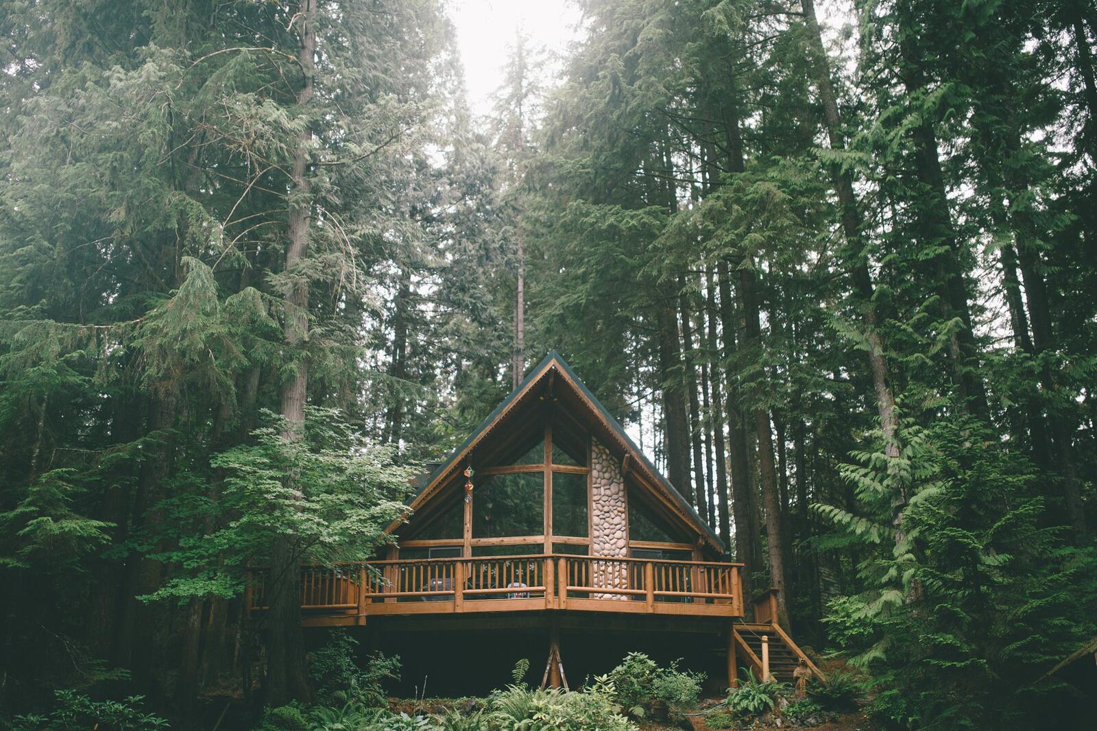 Free photo A house in a dense coniferous forest