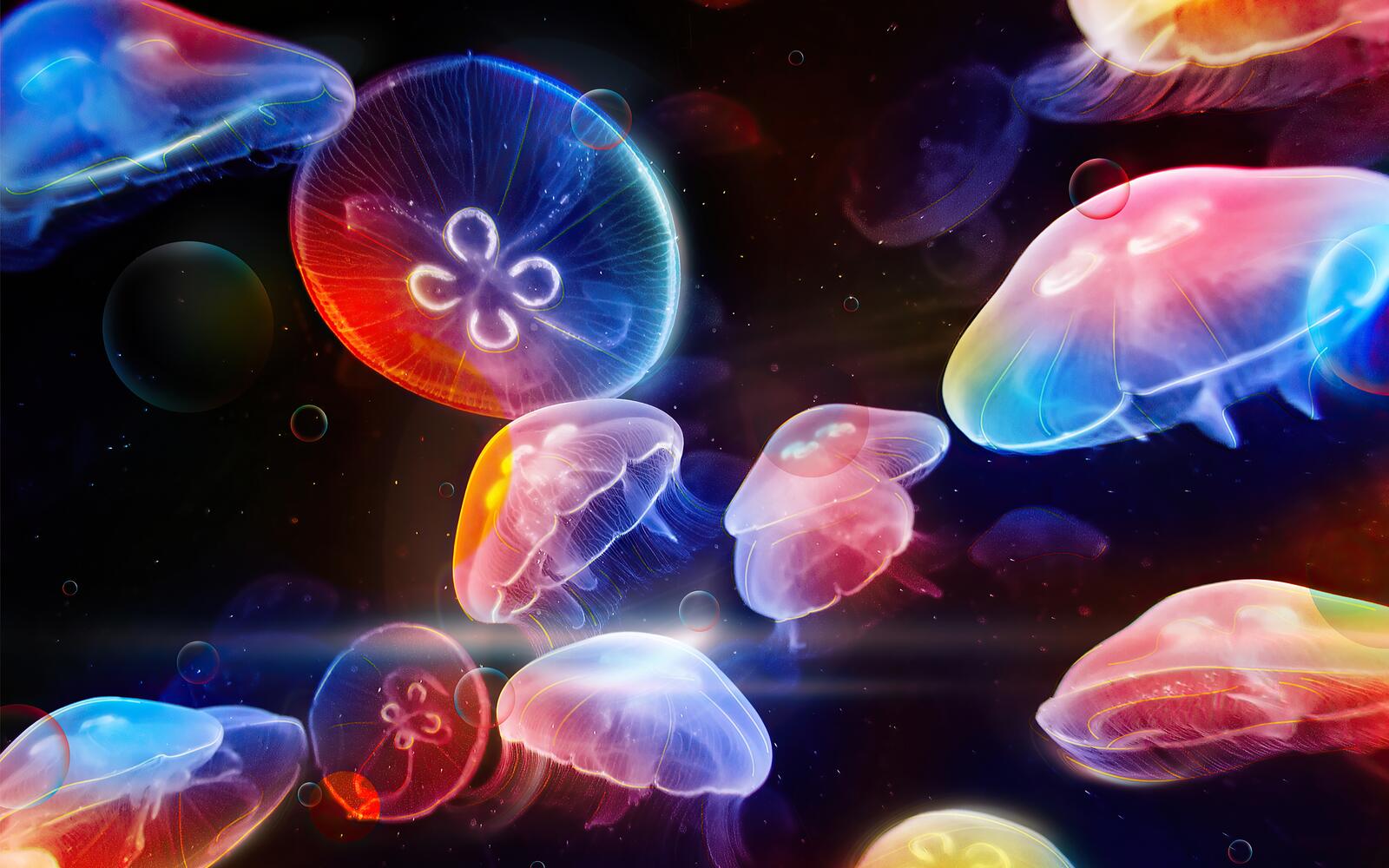 Бесплатное фото Разноцветные медузы