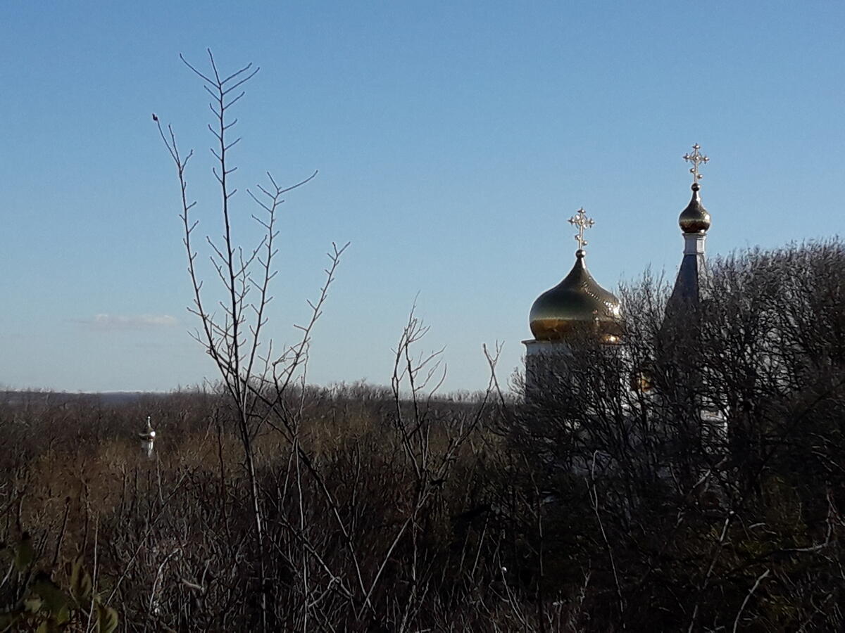 Из кустарника виднеются церковные купола с крестами