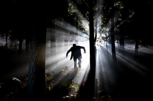 A man walks into the sunlight from a dark forest