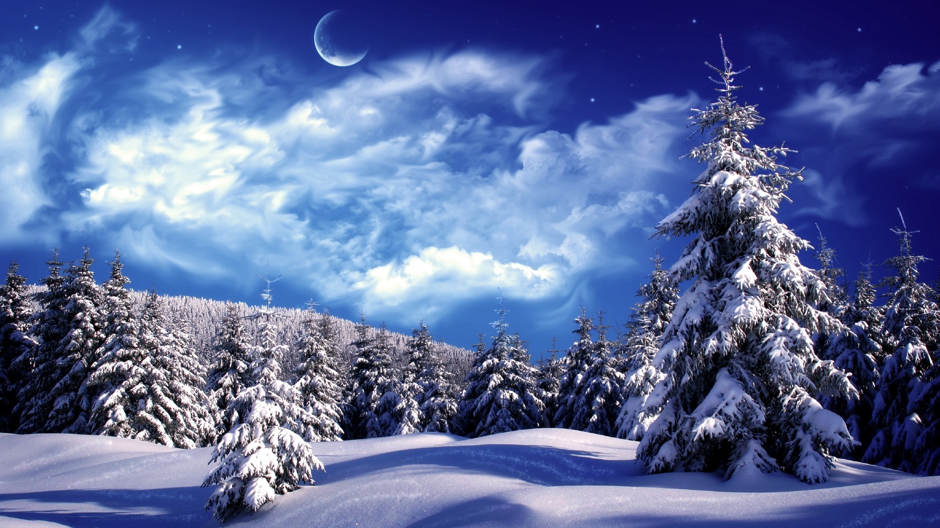 冬天的云杉林被雪花包裹着，天空中有一轮美丽的明月