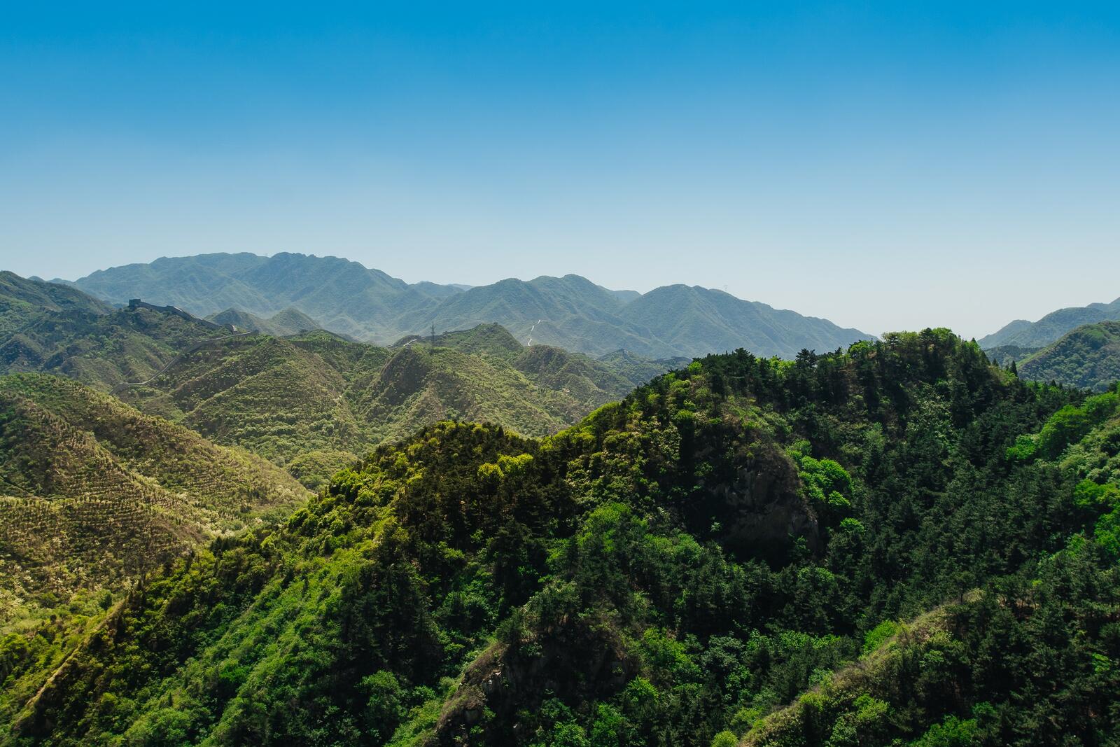 Бесплатное фото Зеленые вершины гор