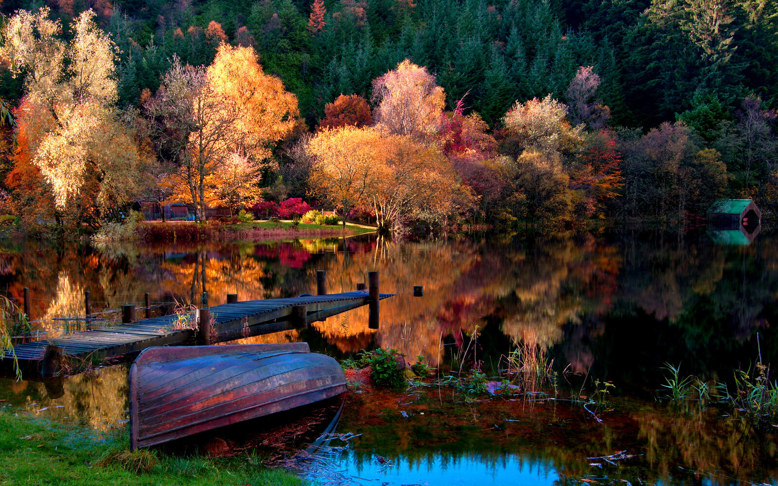 An overturned boat on the shore of a lake in the fall woods