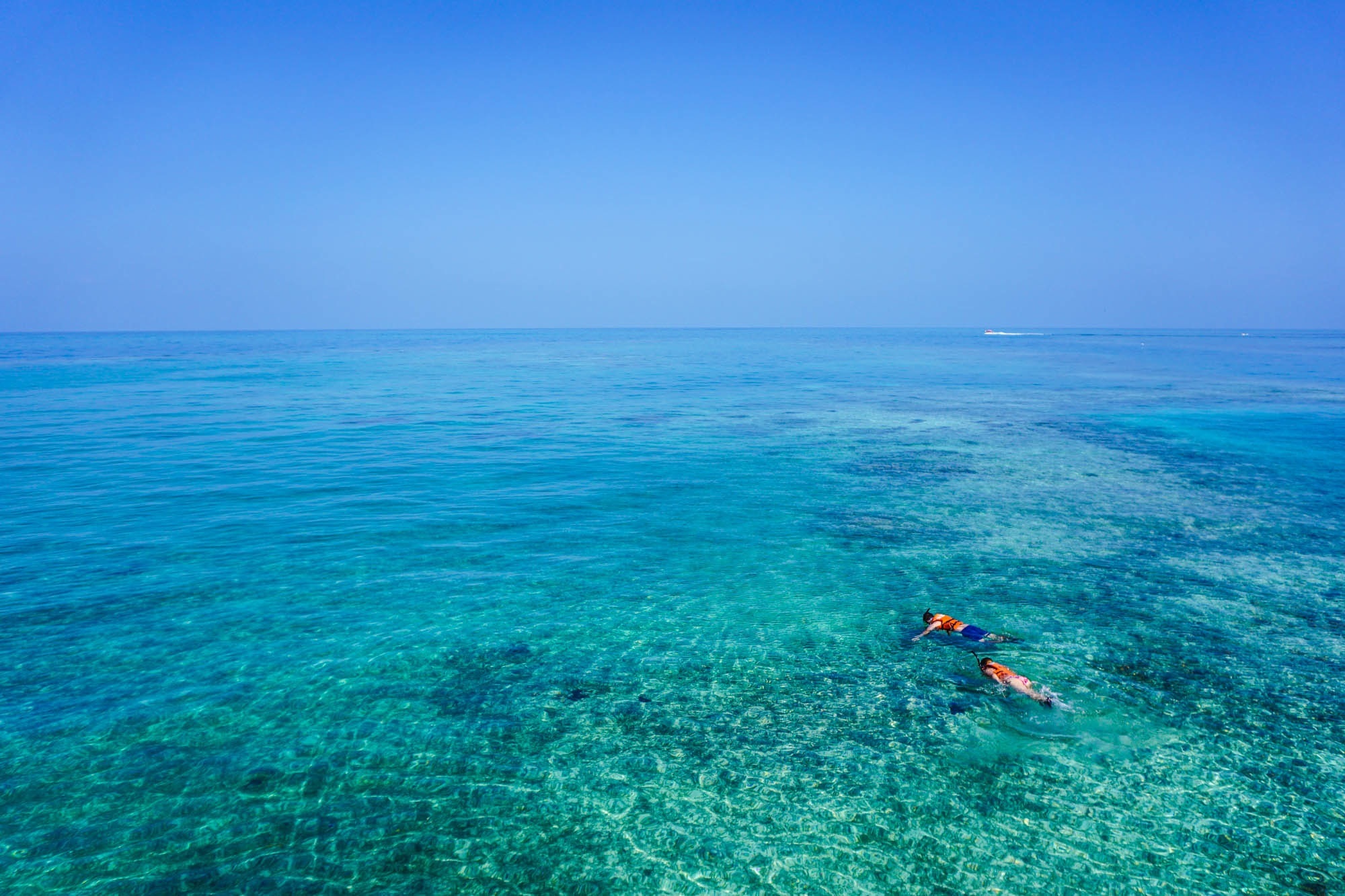 Жизнь в океане сконцентрирована на мелководье. Остров Косумель снорклинг. Lanzarote Испания снорклинг. Прозрачное море. Прозрачная вода в океане.