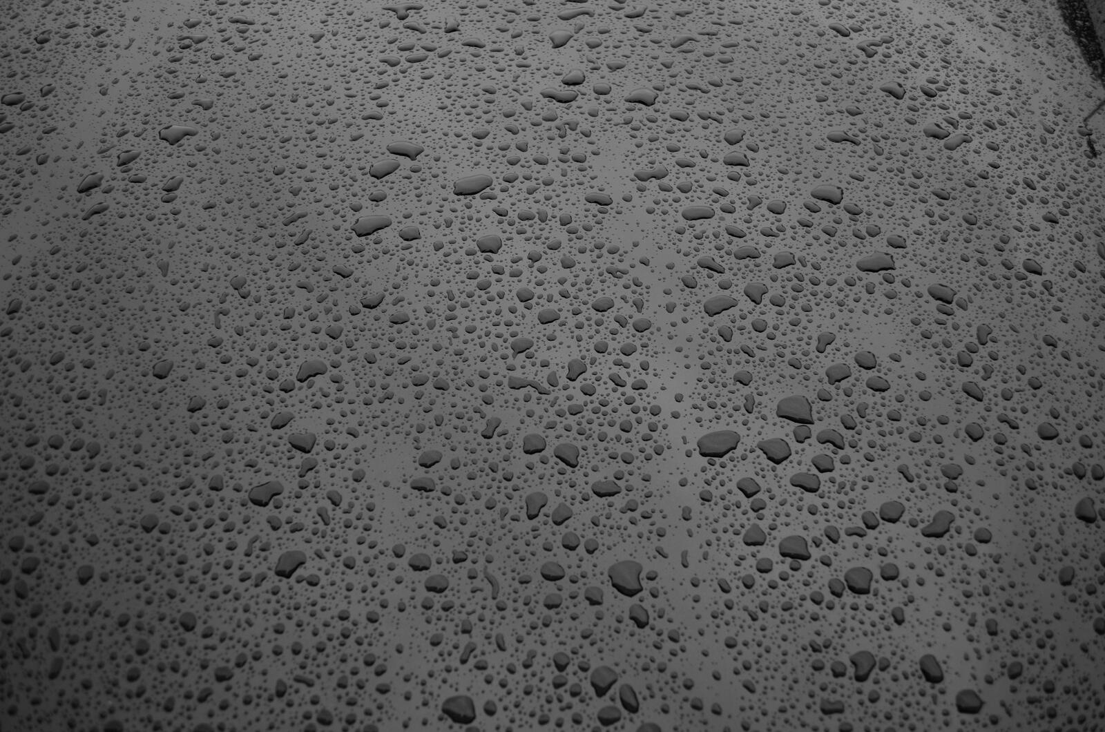 Free photo Water droplets in the rain on dark glass