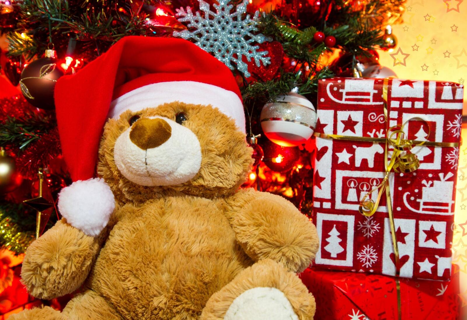 Бесплатное фото Плюшевый медведь в новогодней шапке