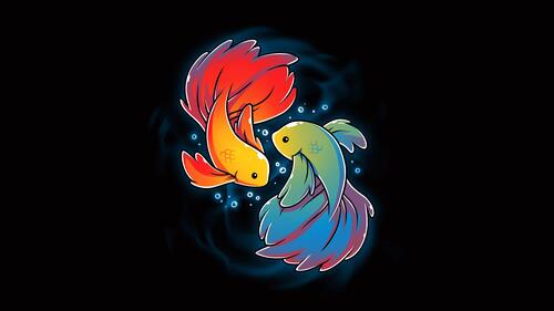 Two koi fish on a black background