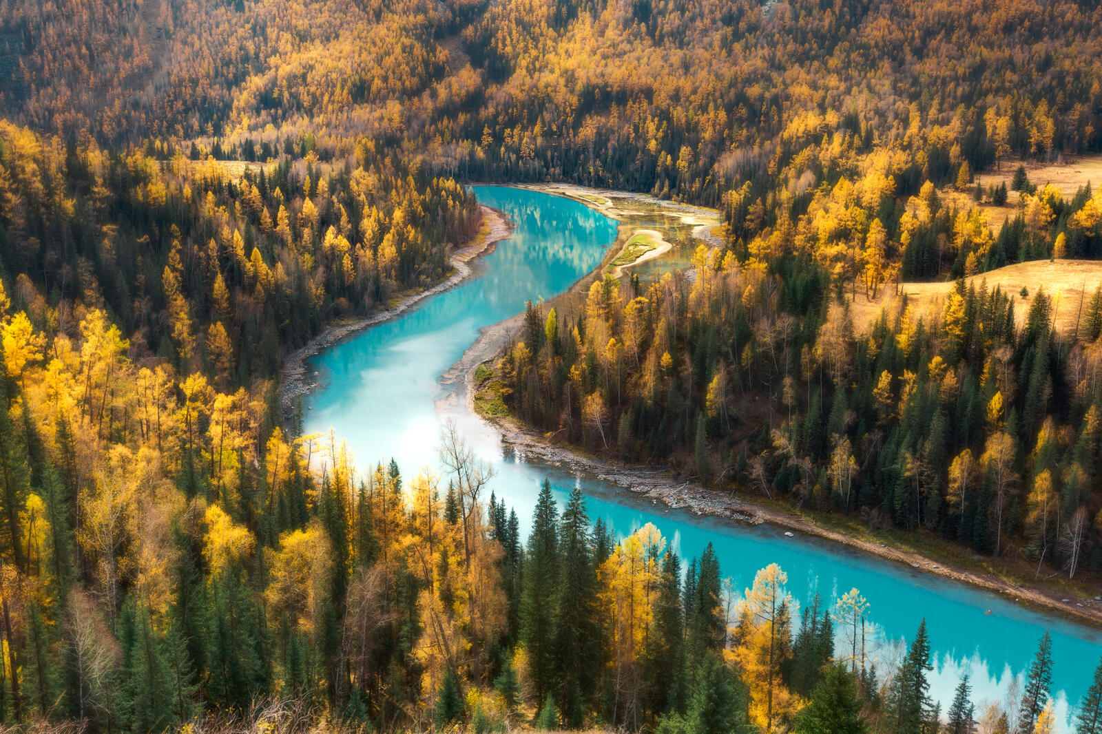 Бесплатное фото Река проходящая сквозь старый лес