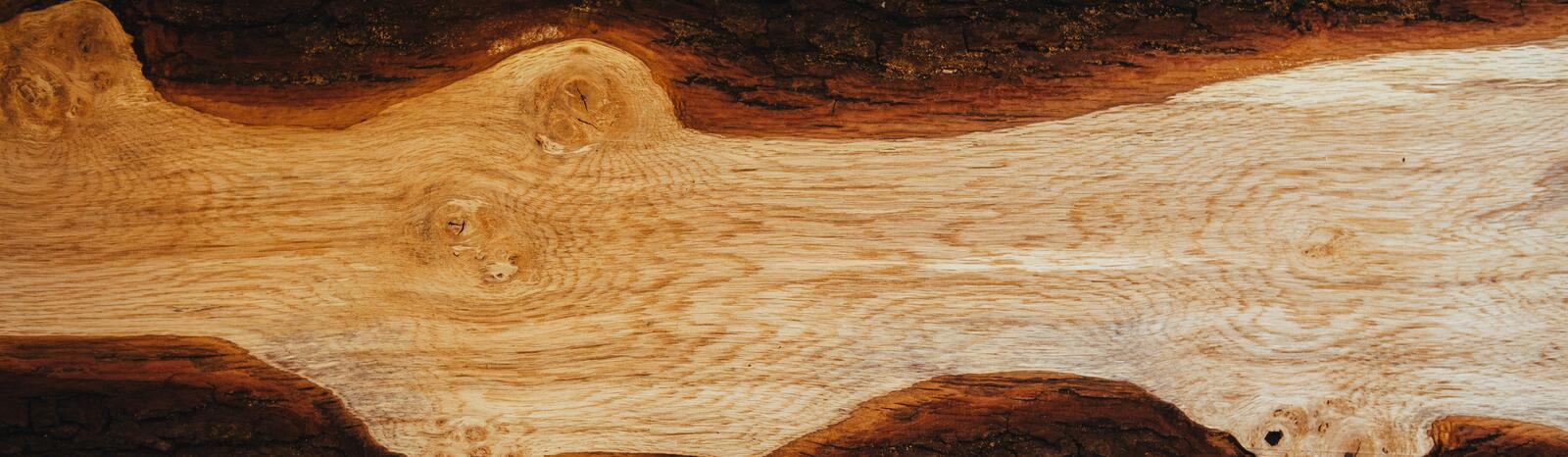 Бесплатное фото Срез дерева редкой породы