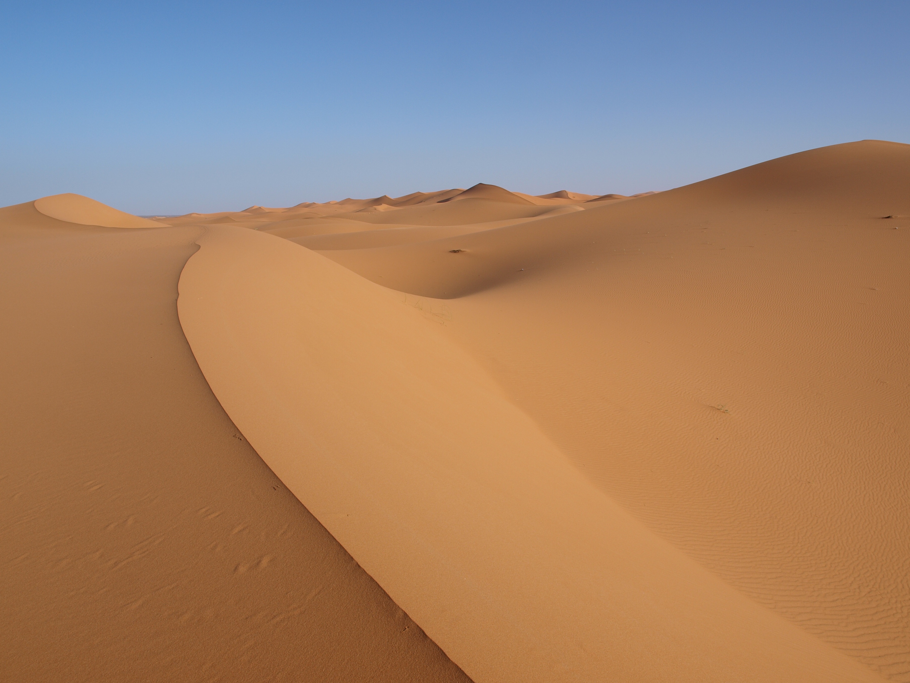 The sands of the Sahara desert