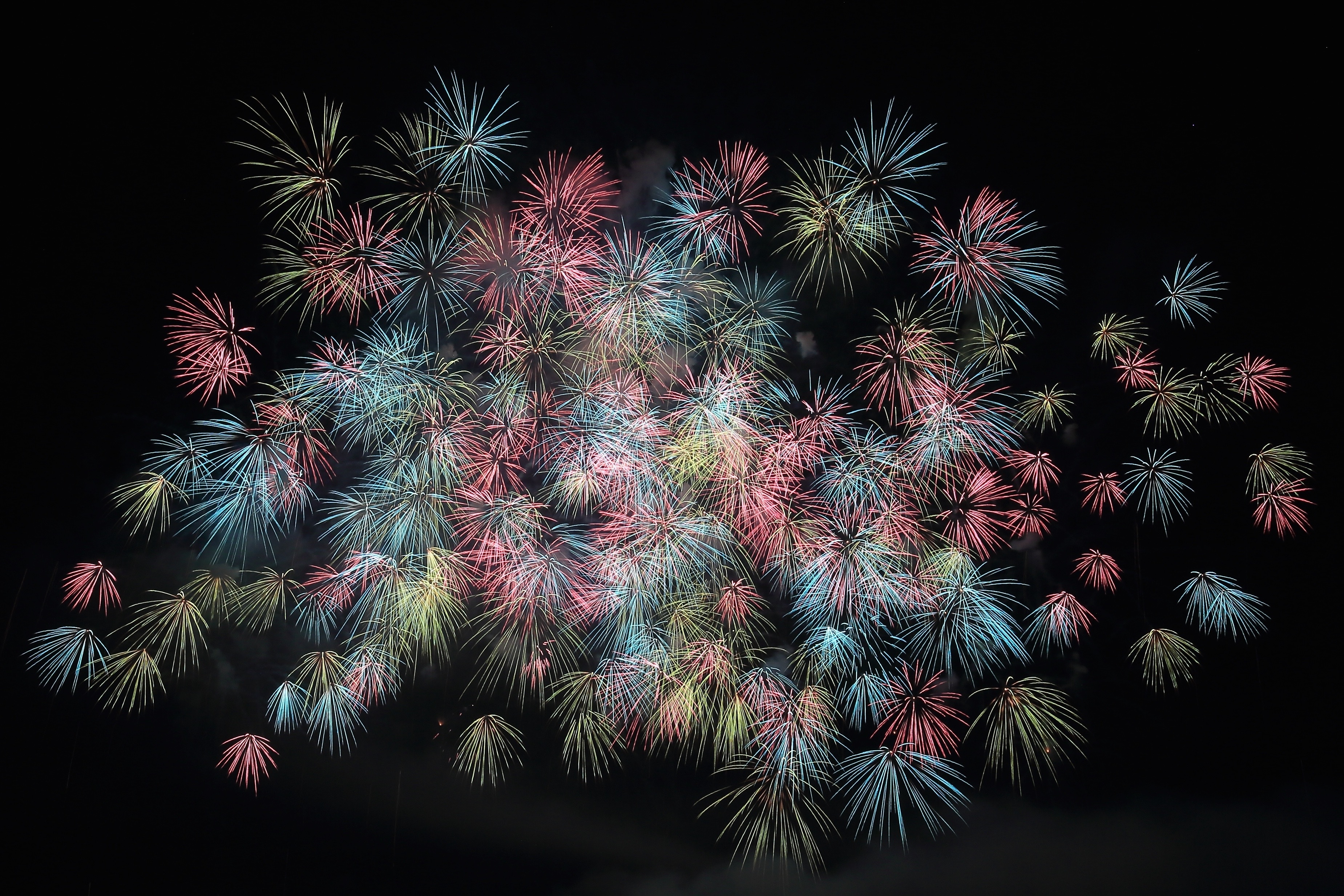 Free photo Fireworks in the night sky