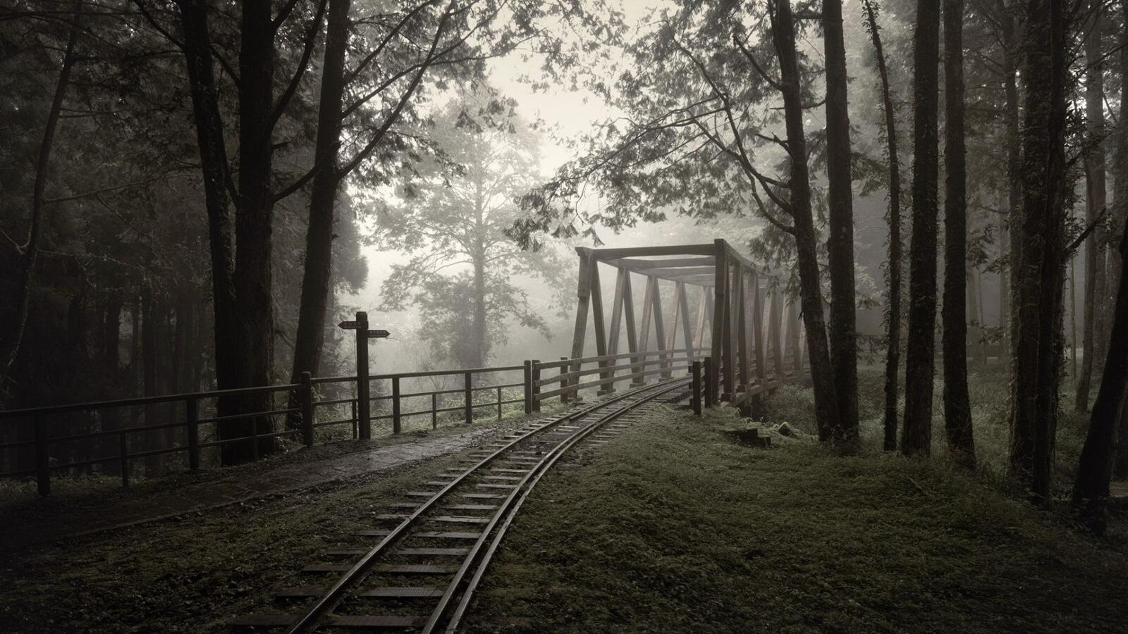 Free photo A railroad bridge in a foggy forest.