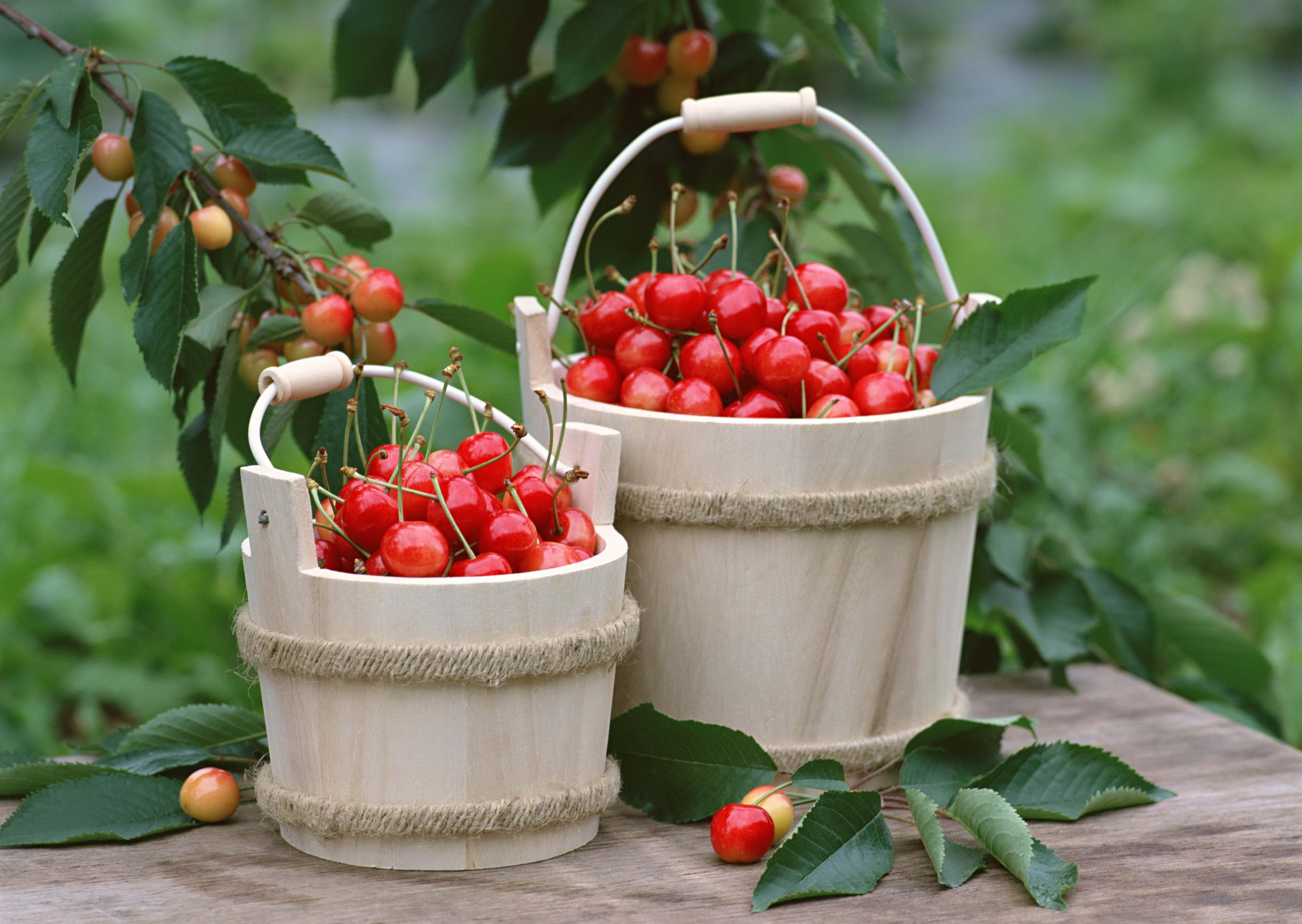 Free photo Buckets of red cherries