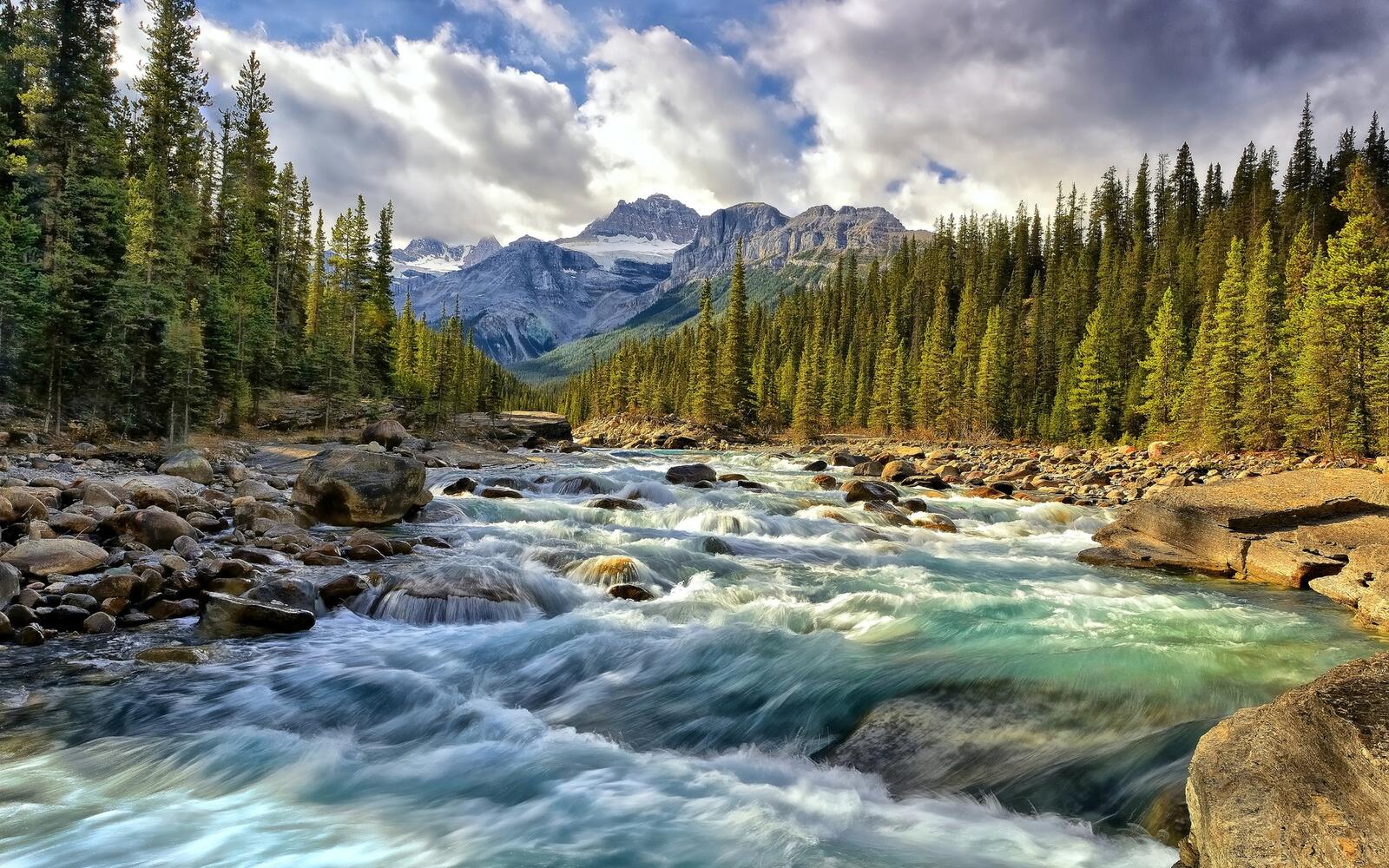 Free photo A turbulent river in the forests of Canada