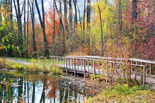 A footbridge in the fall woods