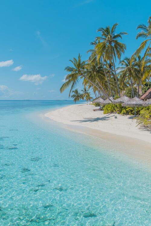 An island with palm trees and white sand