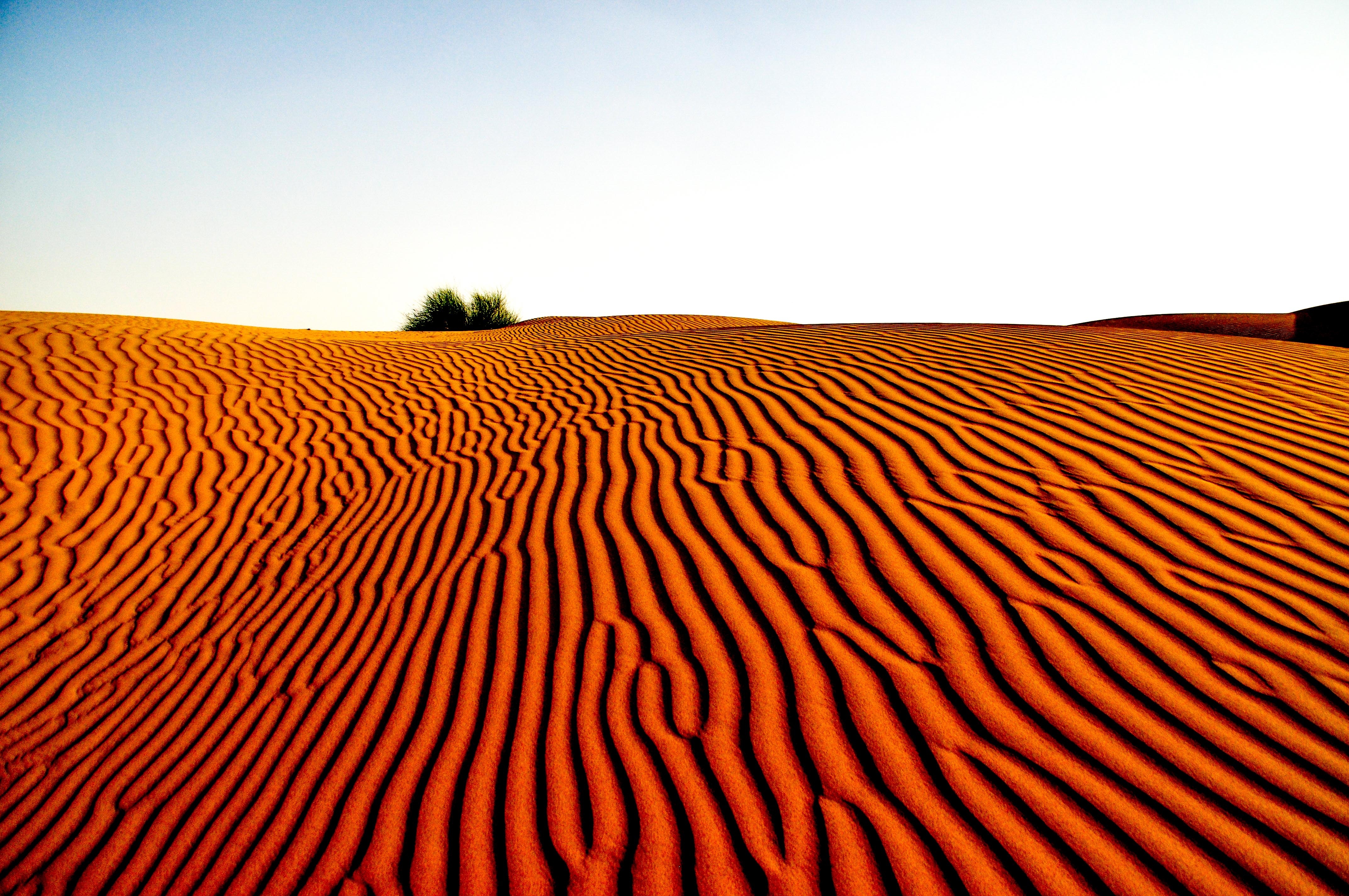 风在沙漠的沙地上画出美丽的浮雕