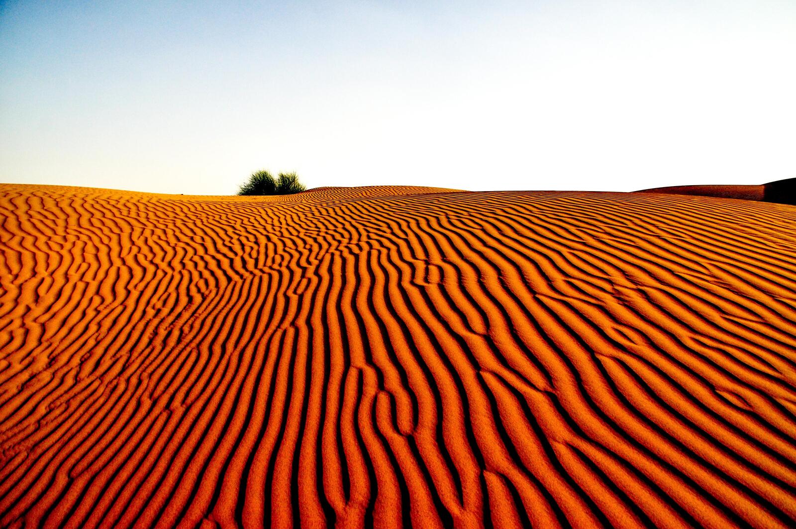 免费照片风在沙漠的沙地上画出美丽的浮雕