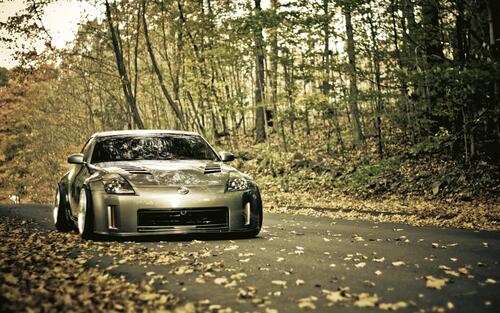 Nissan 350z on fall leaves.