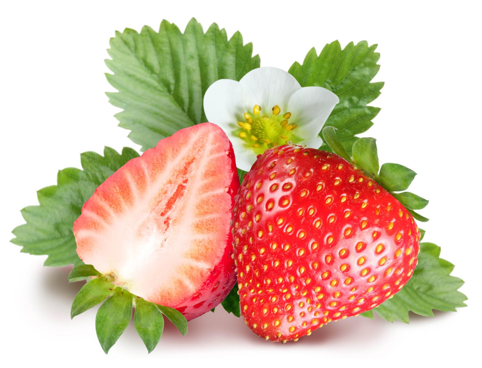 免费照片白底草莓
