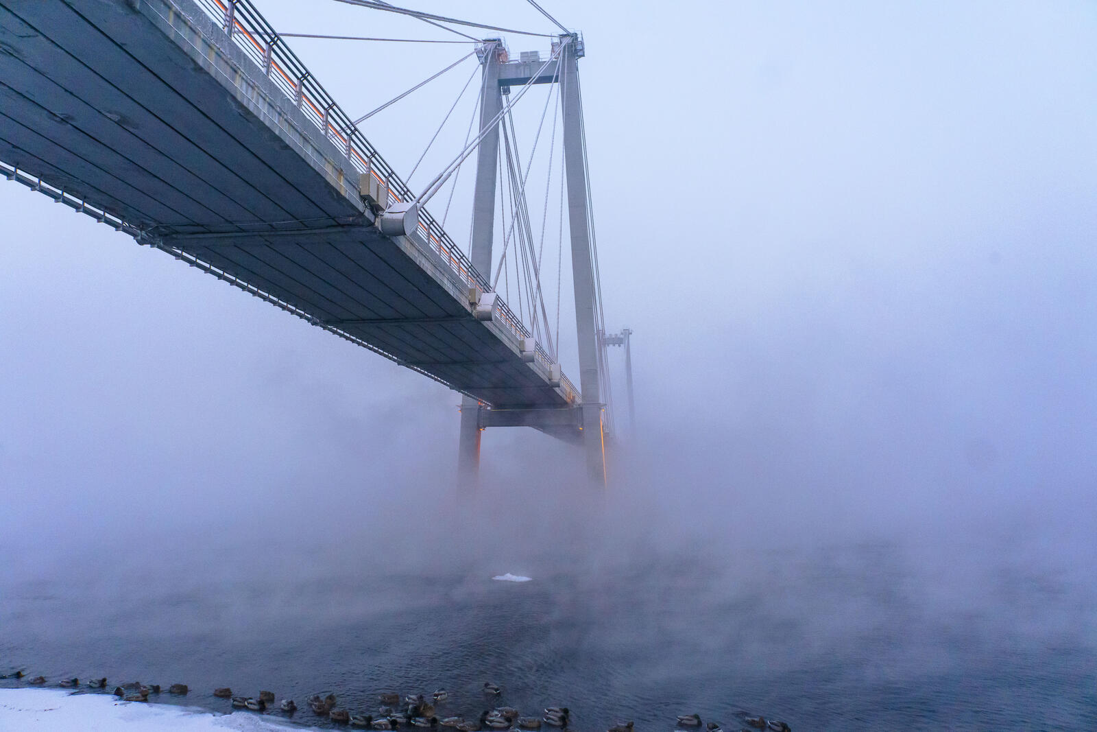 Бесплатное фото Мост в морозное туманное утро