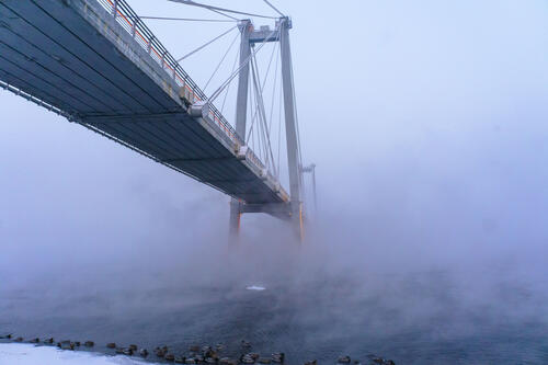 The bridge on a frosty, foggy morning.