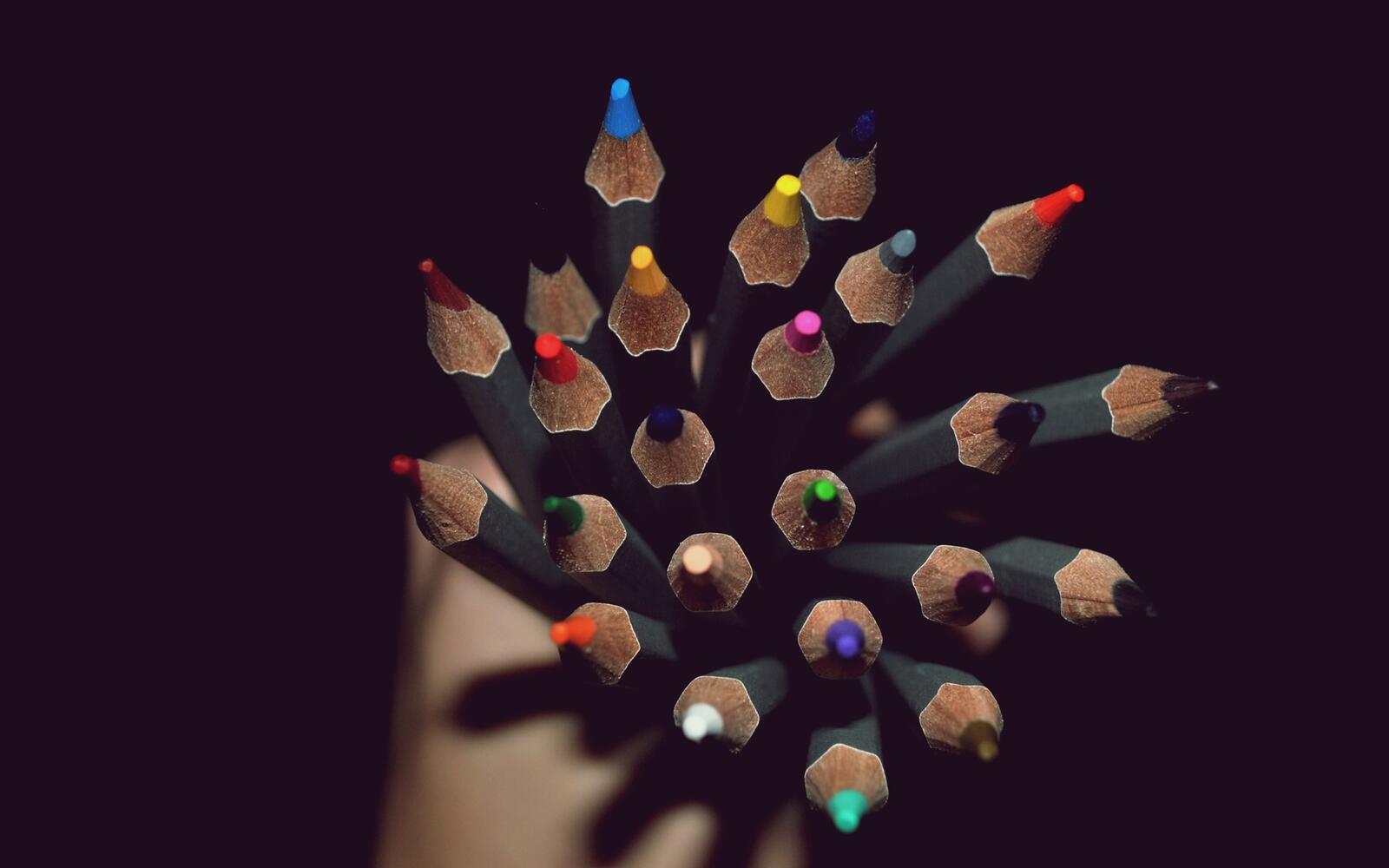Free photo Sharpened colored pencils in a woman`s hand.